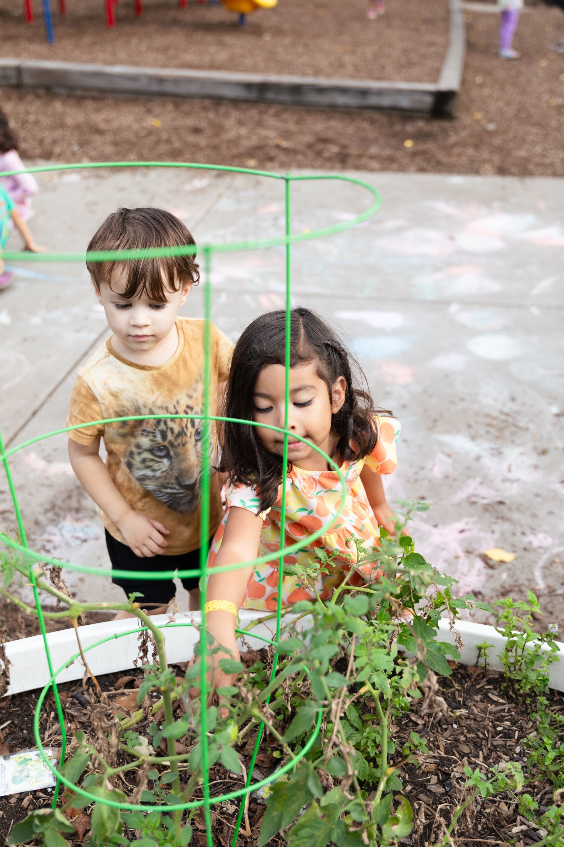 Montessori child working with practical life activity