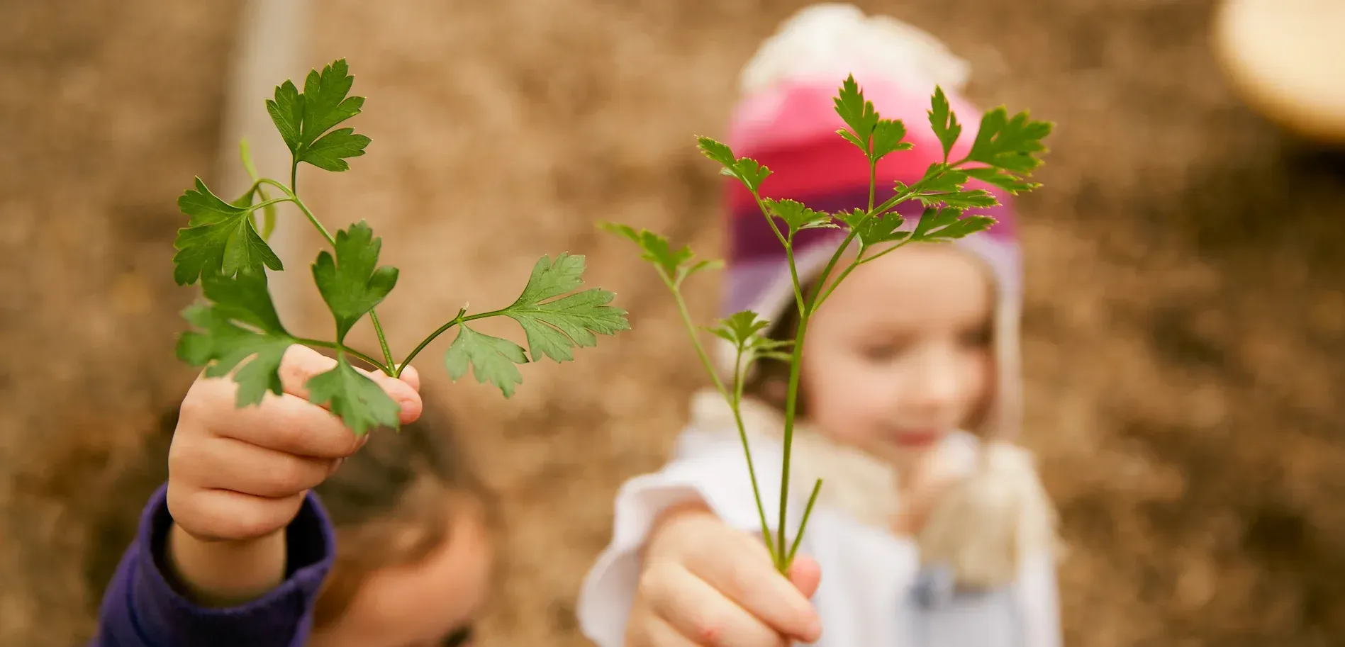 montessori children holding a leaves