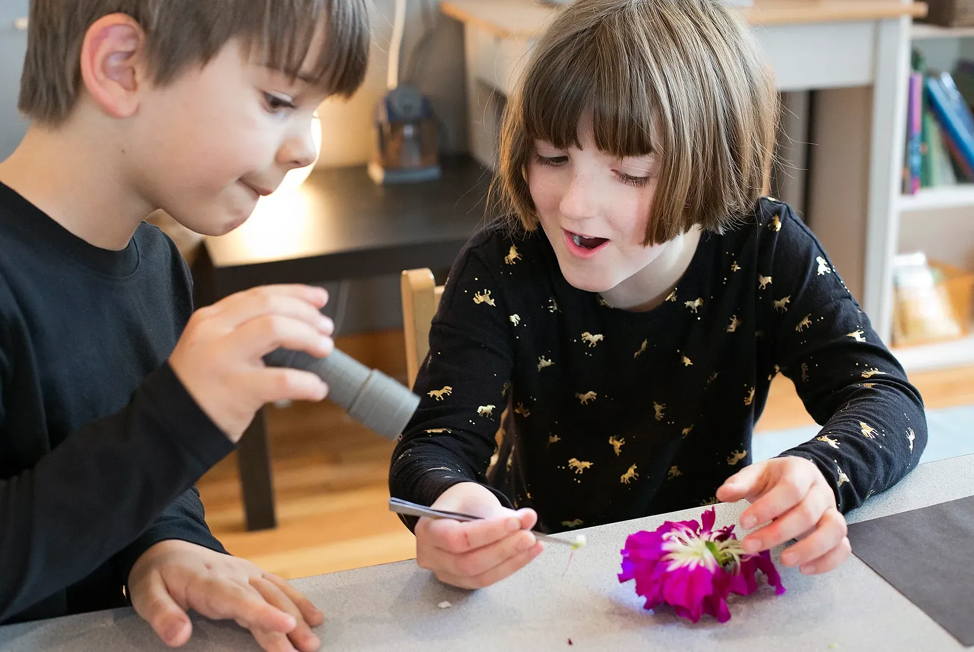 Montessori children working with research activity