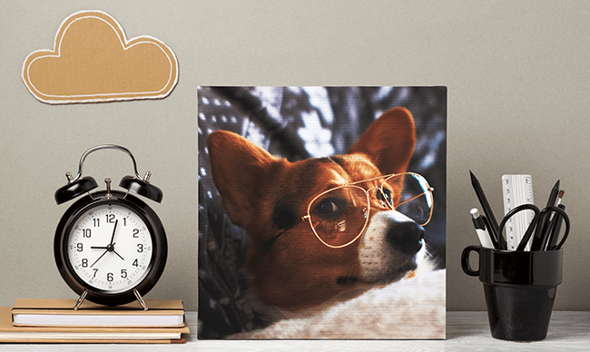 Desk decor with a framed dog portrait, black alarm clock, and pen holder on books
