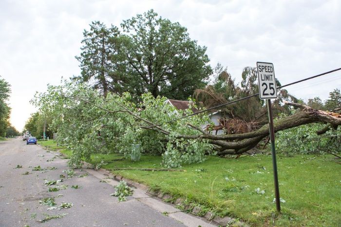 A tree fallen over onto a house with its roots ripped out from the ground