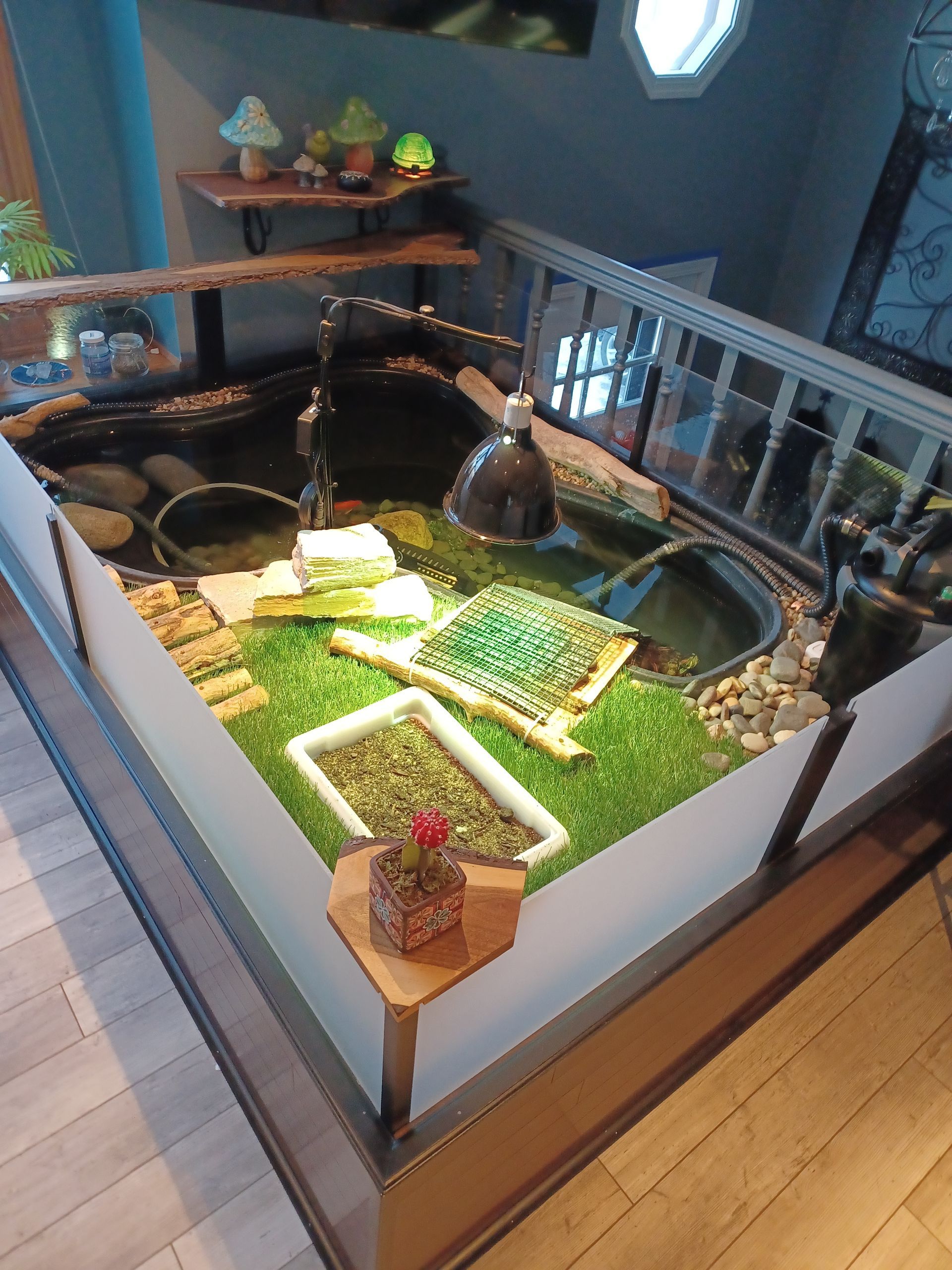Enclosed tortoise habitat with water features, artificial turf, and a heat lamp.