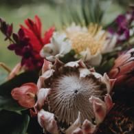 Close-up of a colorful flower bouquet with a white protea in the center