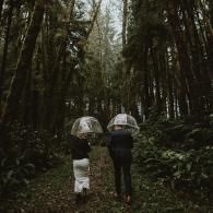 Two people with clear umbrellas walking through a dark forest path
