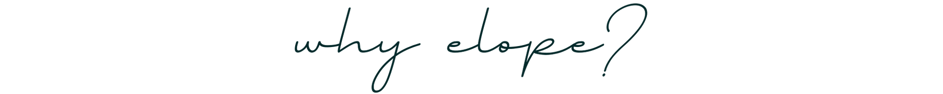 Handwritten phrase “why elope?” in thin black script on a white background