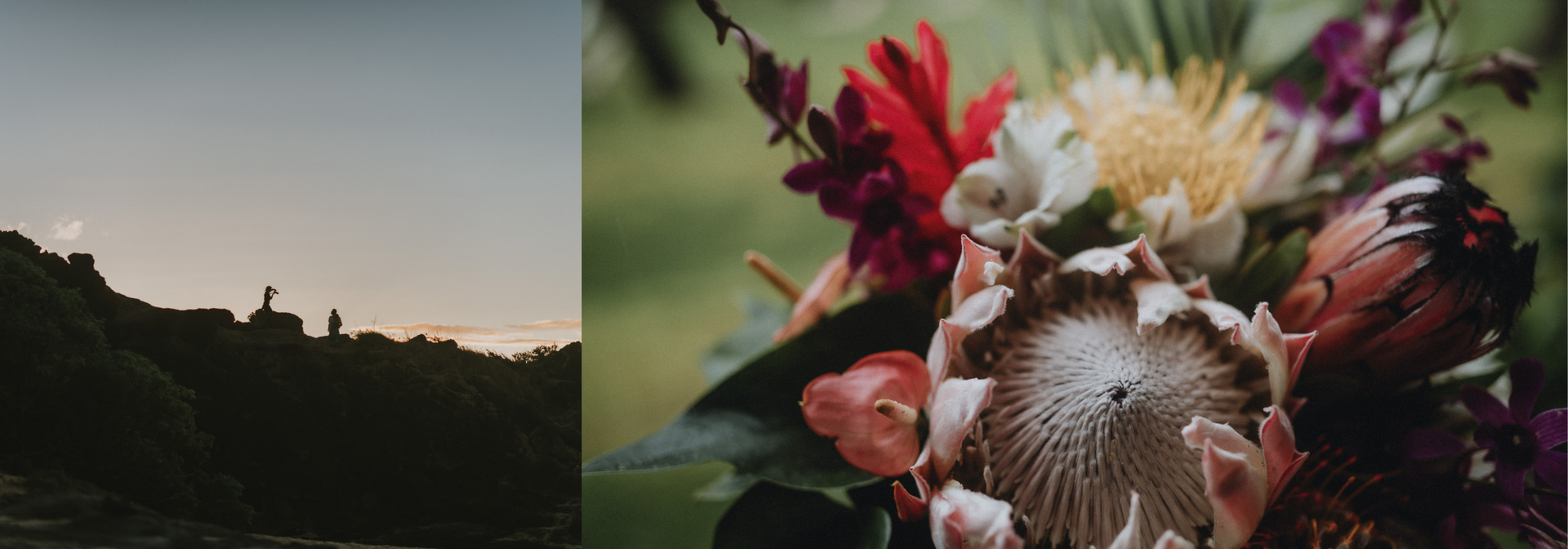 Sunset silhouette of trees and a tower beside a close-up of red and white wildflowers