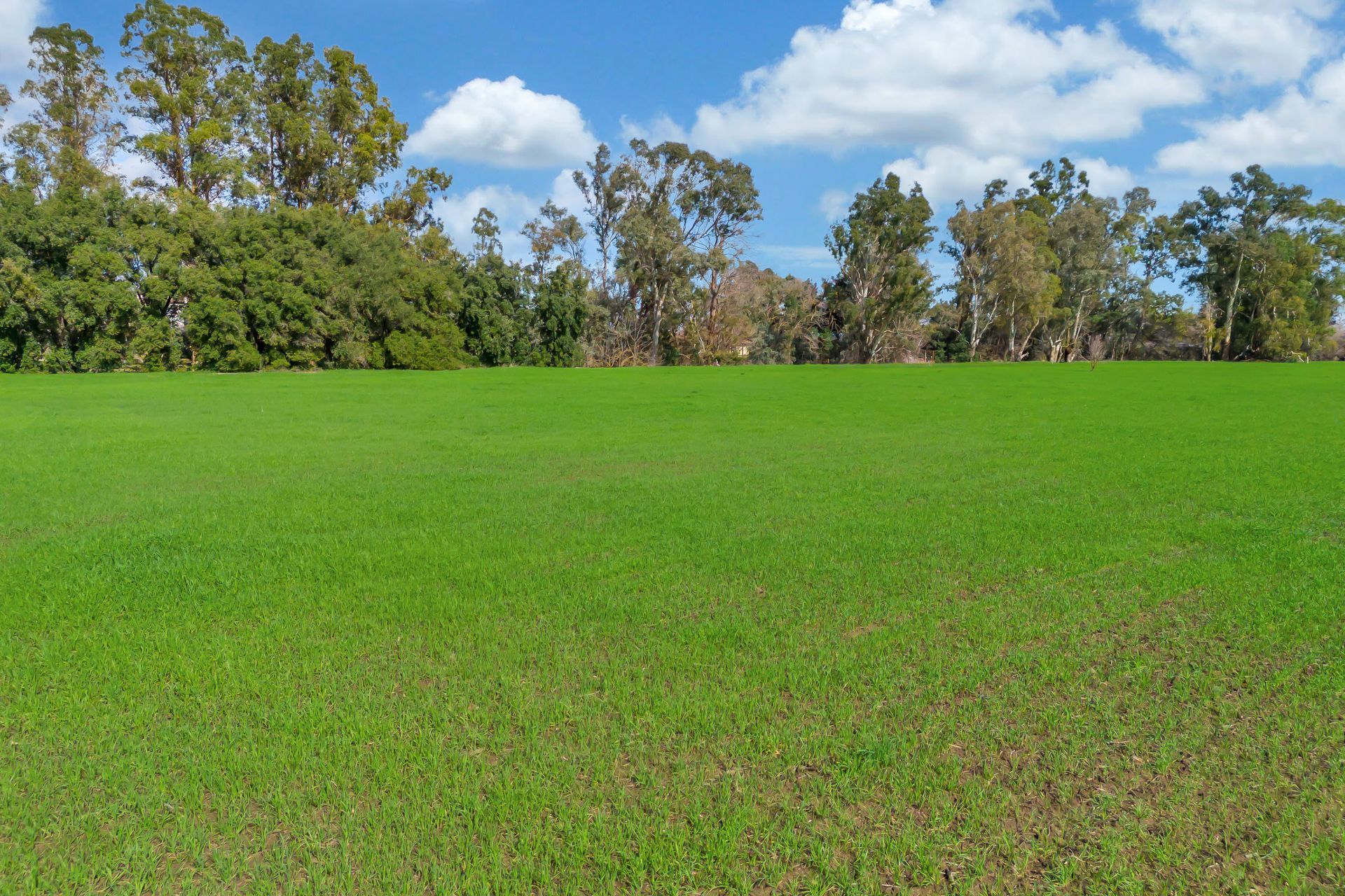 21750 Pierce Ranch Road Home for sale, Contact Ginny Parks today