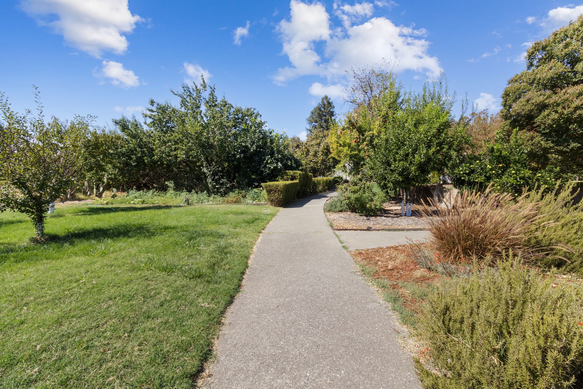 2542 Overhill Lane, Davis CA