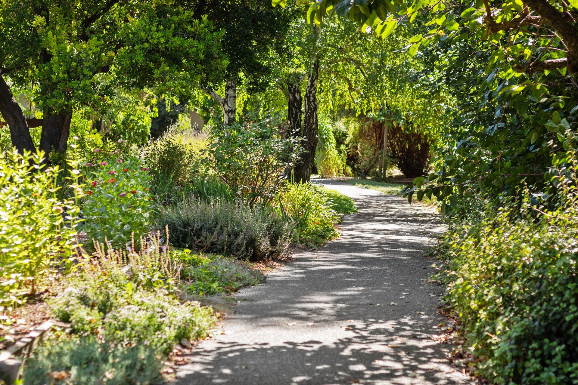 2542 Overhill Lane, Davis CA