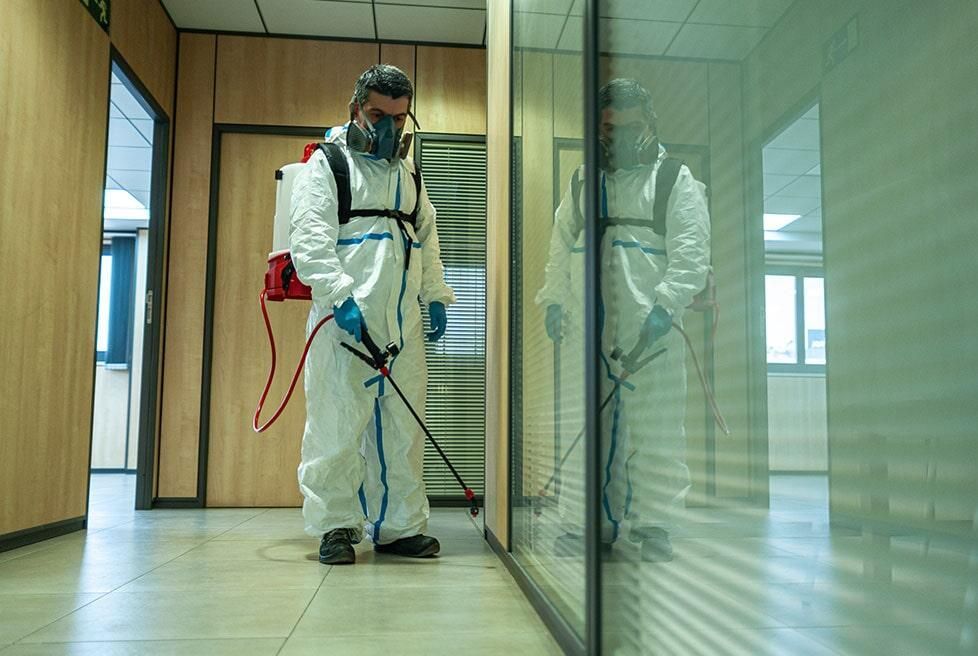 FUMIGACIONES MURAD