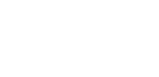 logo footer