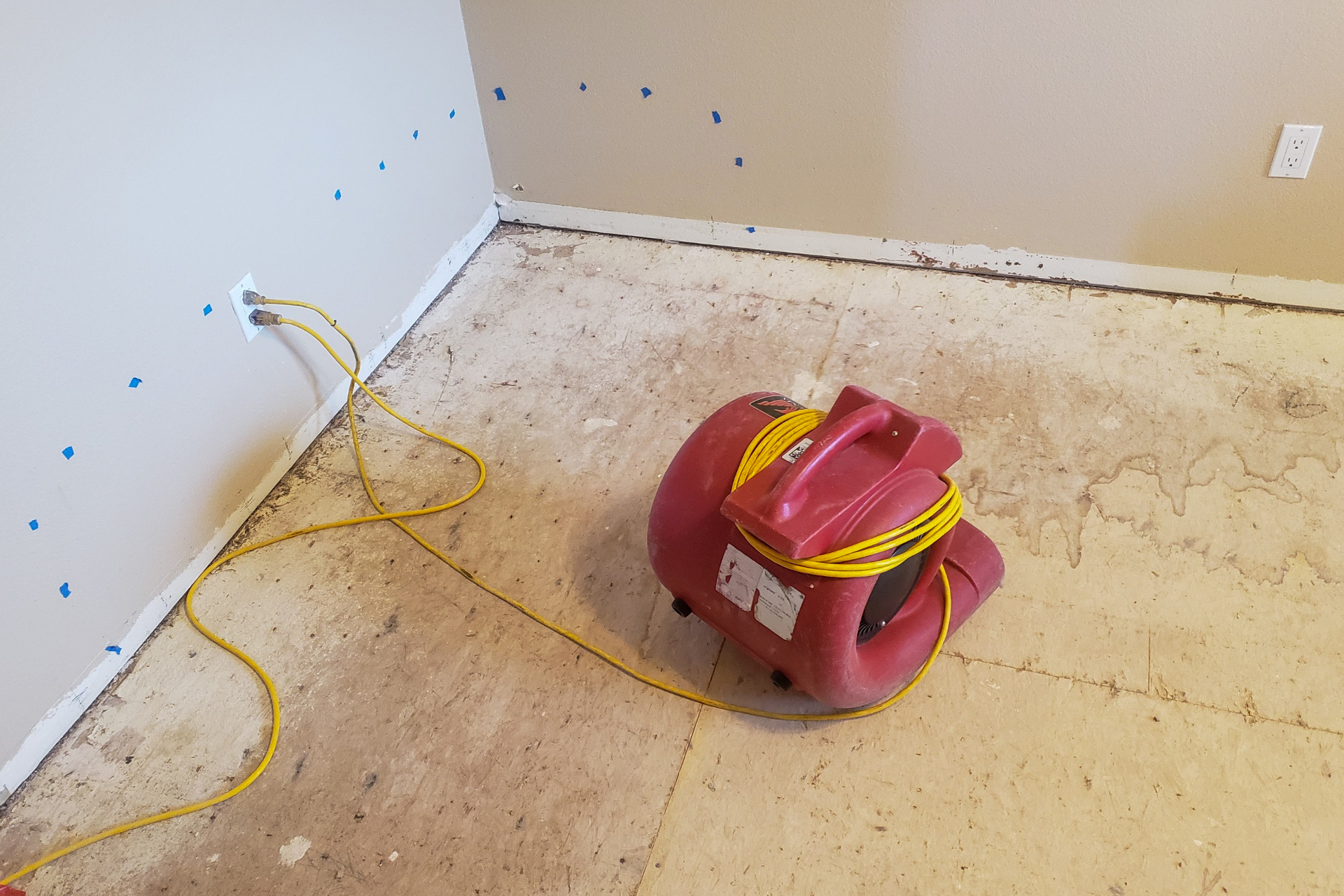Untitled+design+-+2024-05-21T152626.951.png