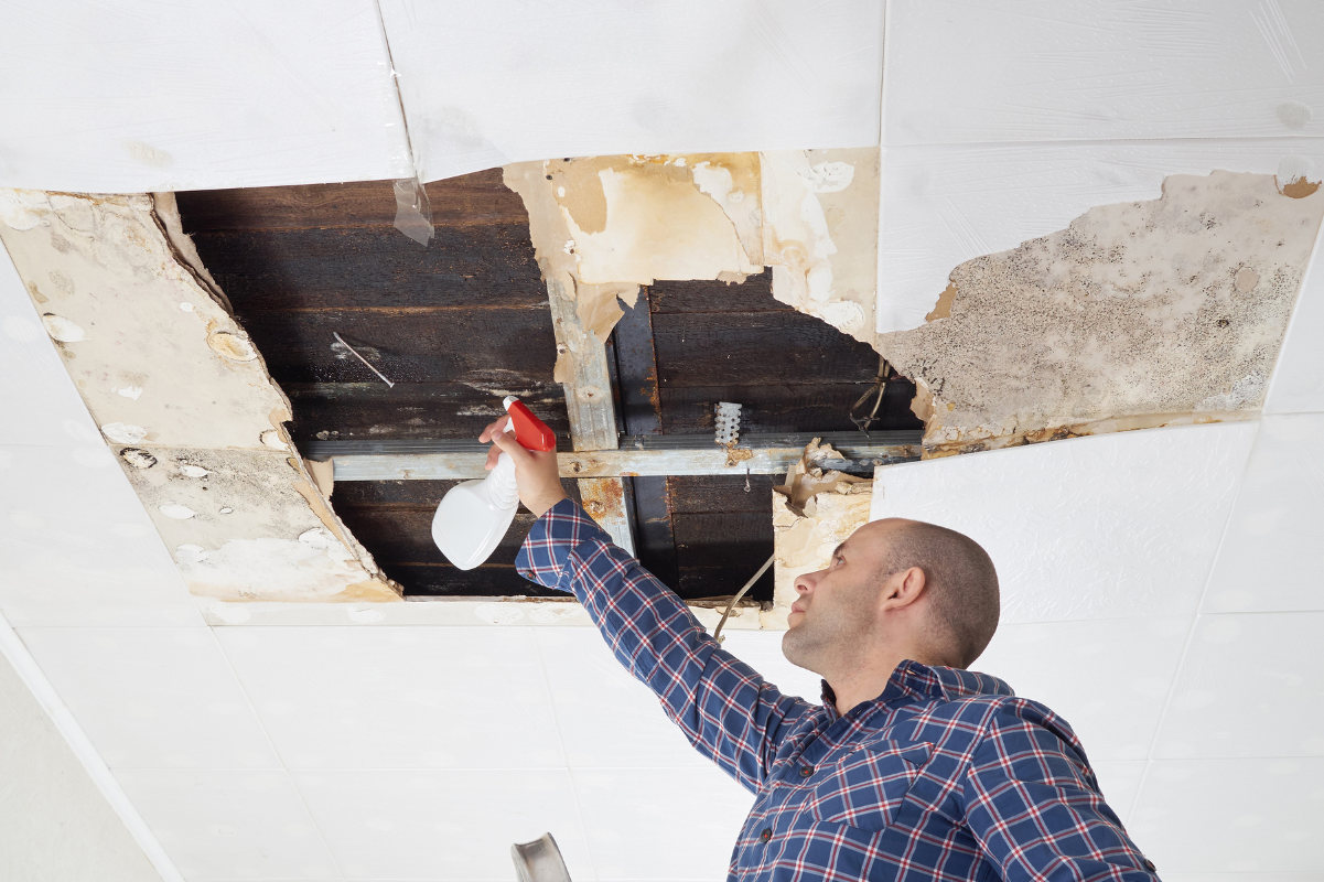 a man spraying a moldy ceiling with a spray bottle
