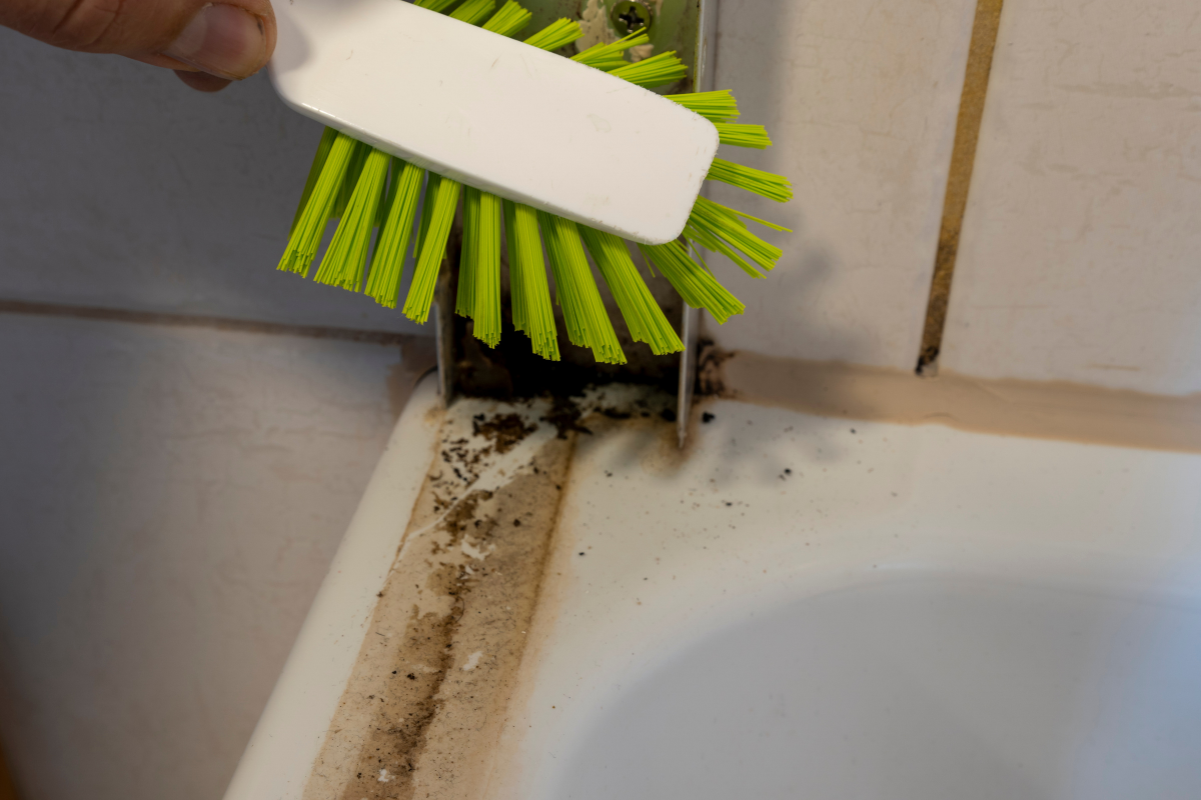 a bathtub with mold on it
