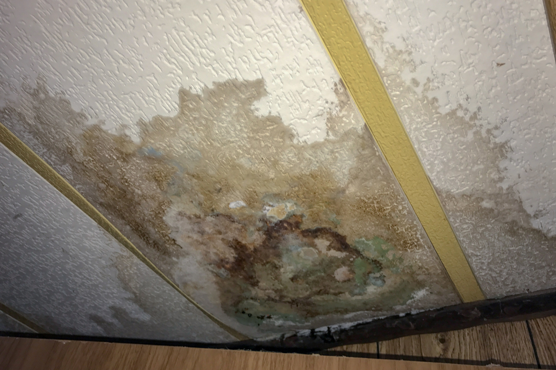 Water Damage