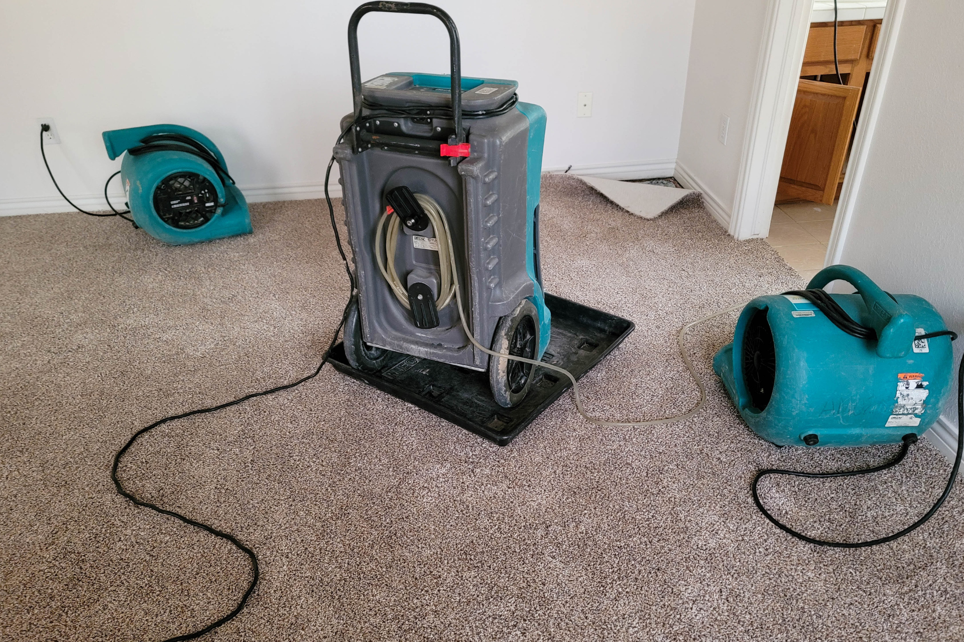 Air Movers and Dehumidifier