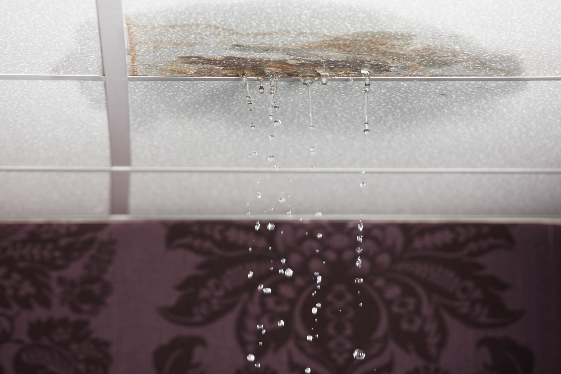 Water Leak