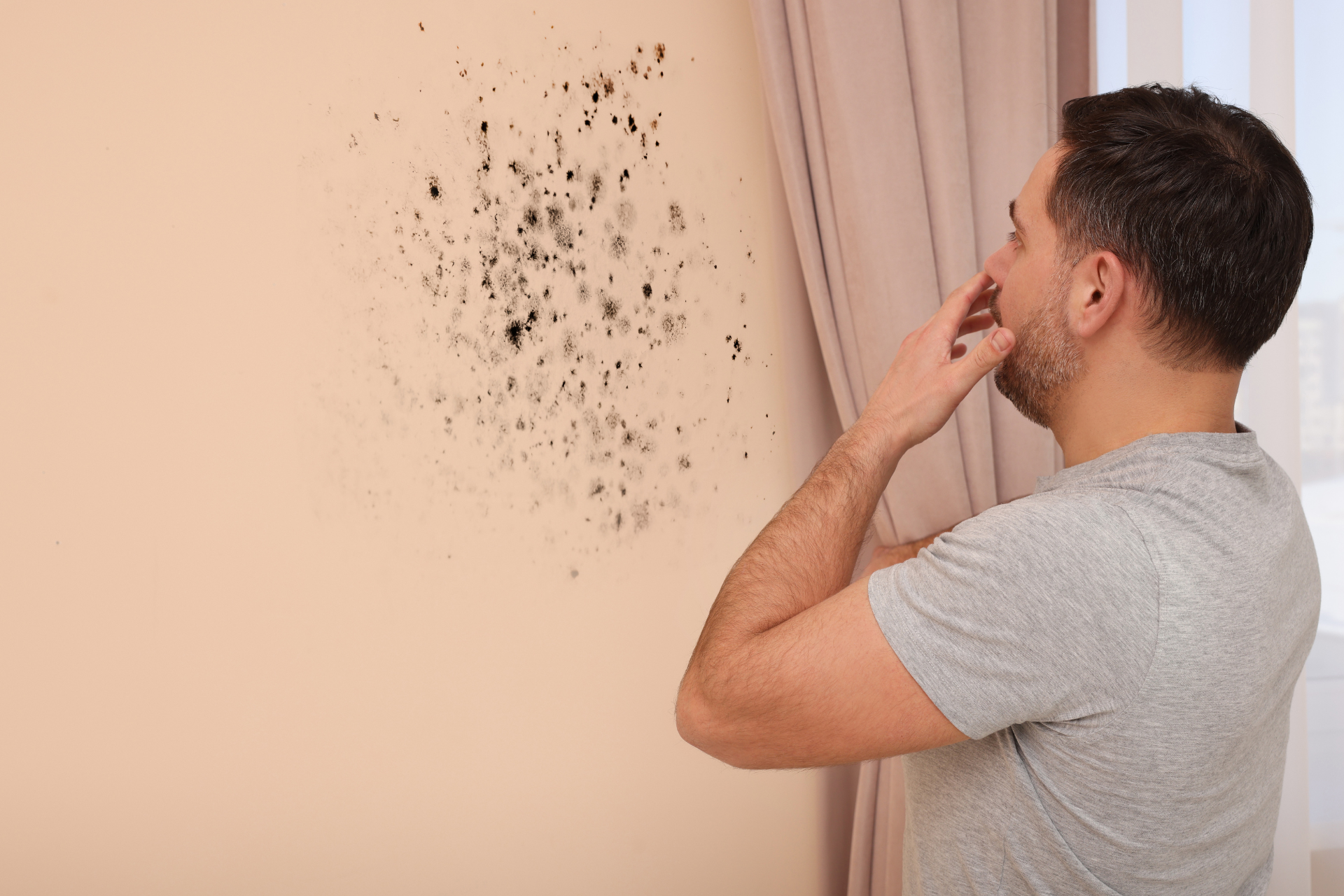 Mold in Your Home