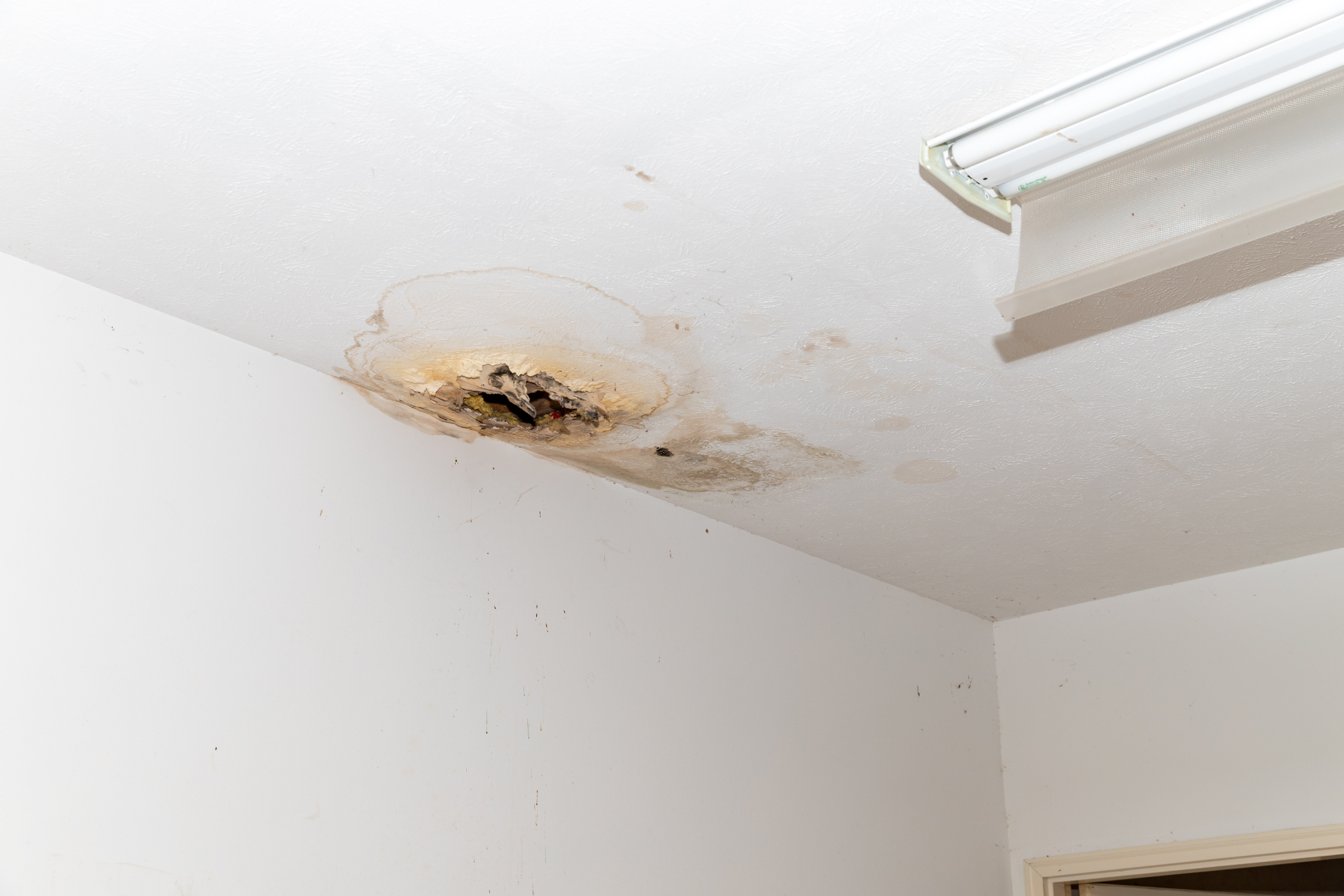 Water Damage