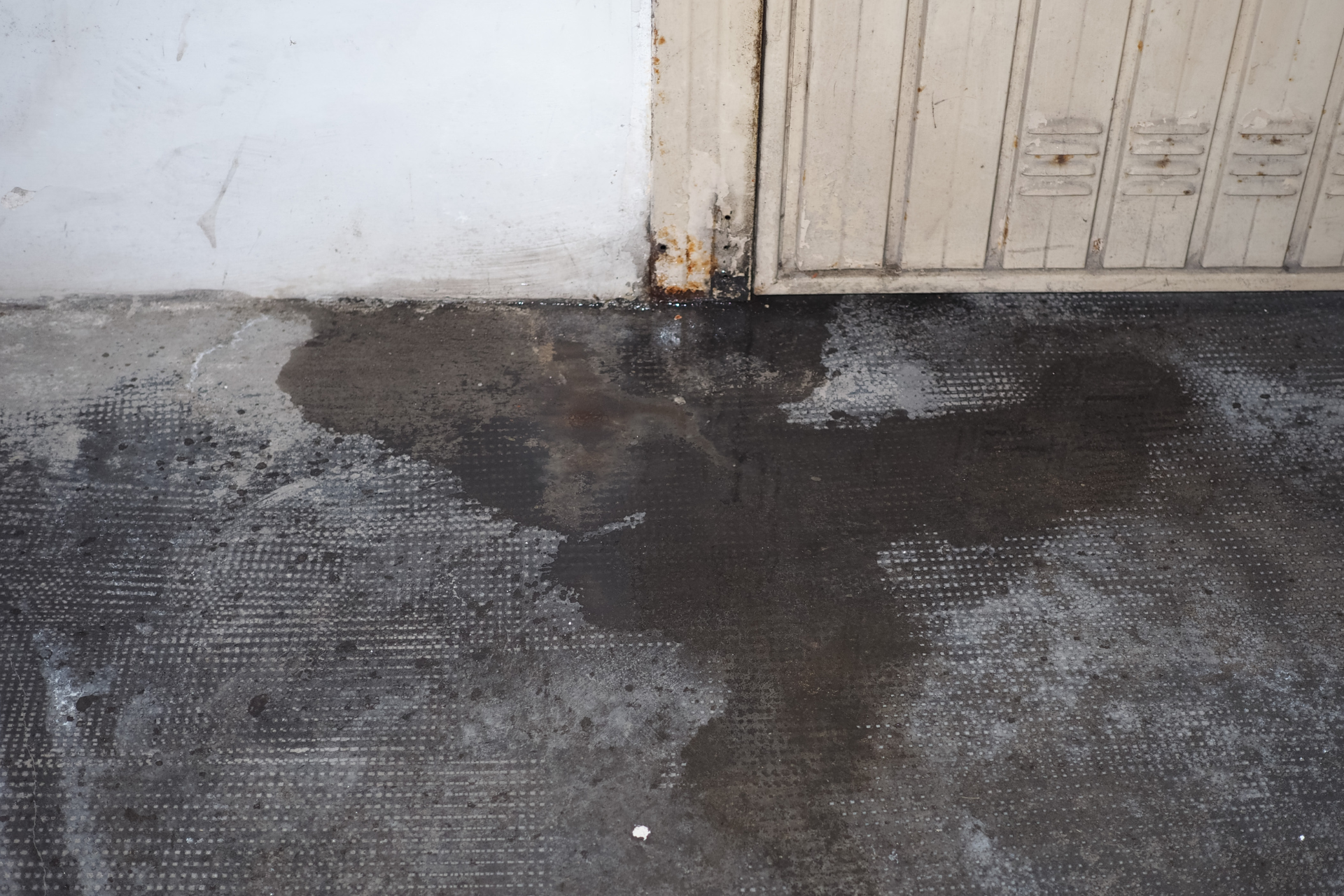 Moisture Damage on the Door