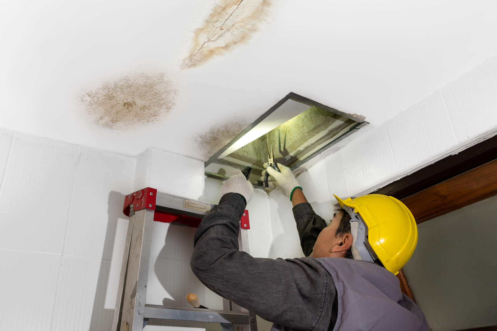 Repairing Water Damage