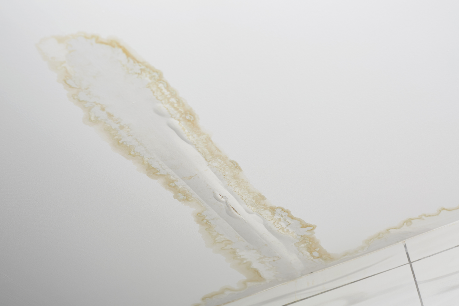 Water Damage to Ceiling