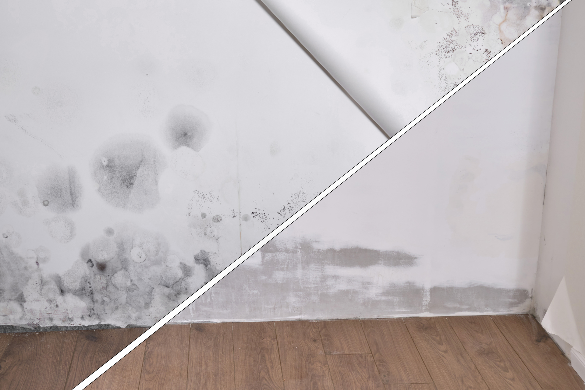 Mold Before and After Removal