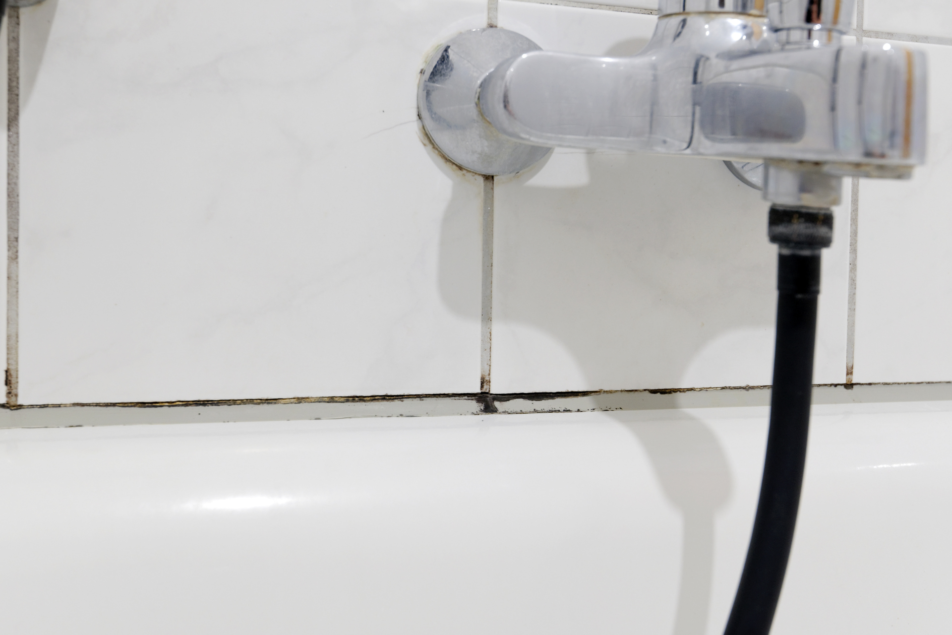 Mold in the Bathroom