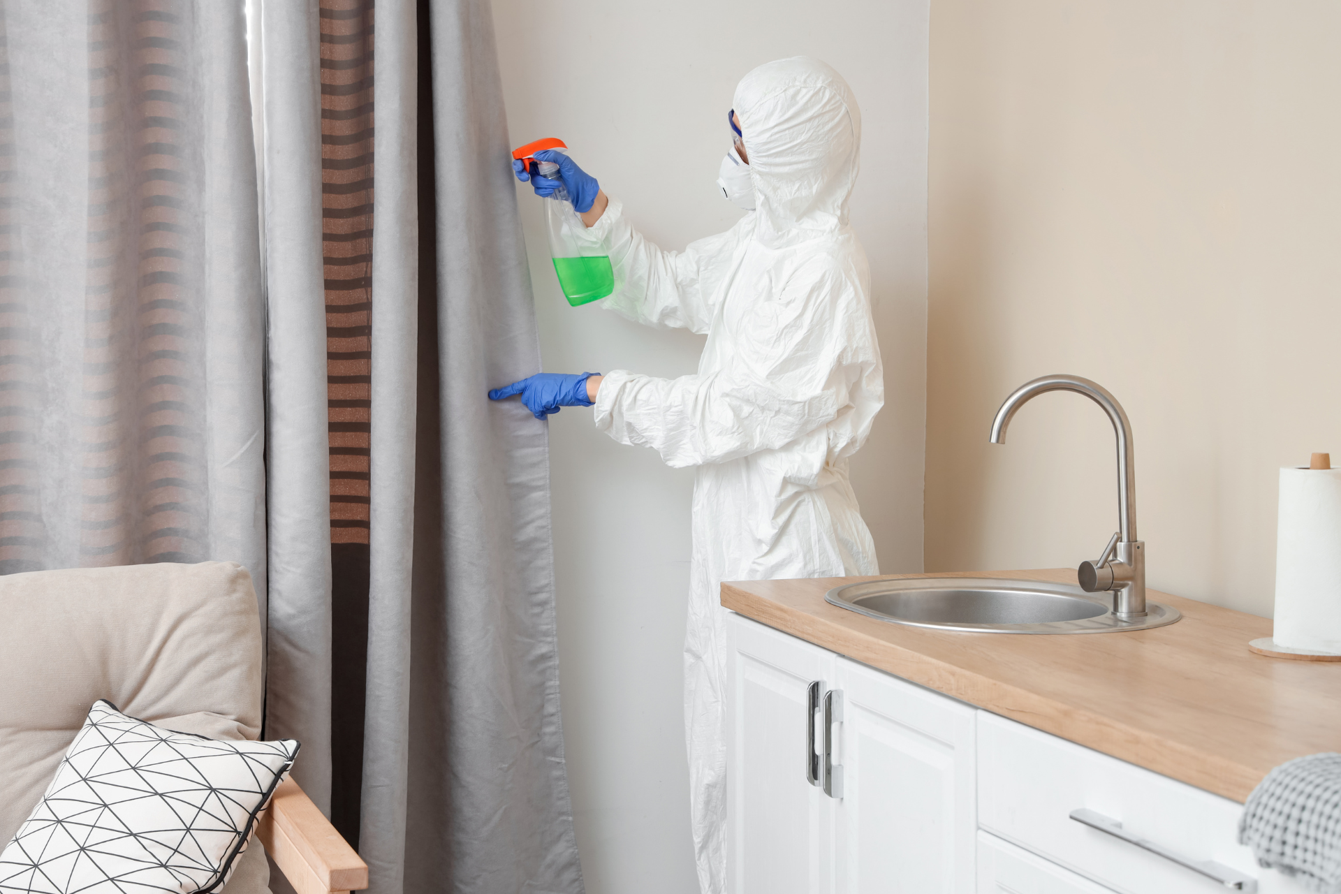 Professional Mold Removal