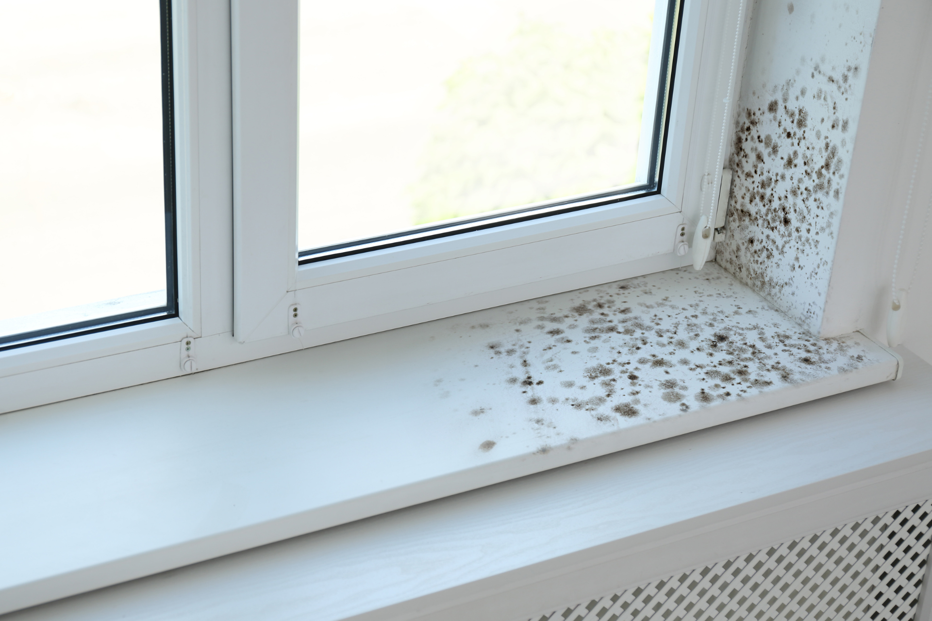 Mold