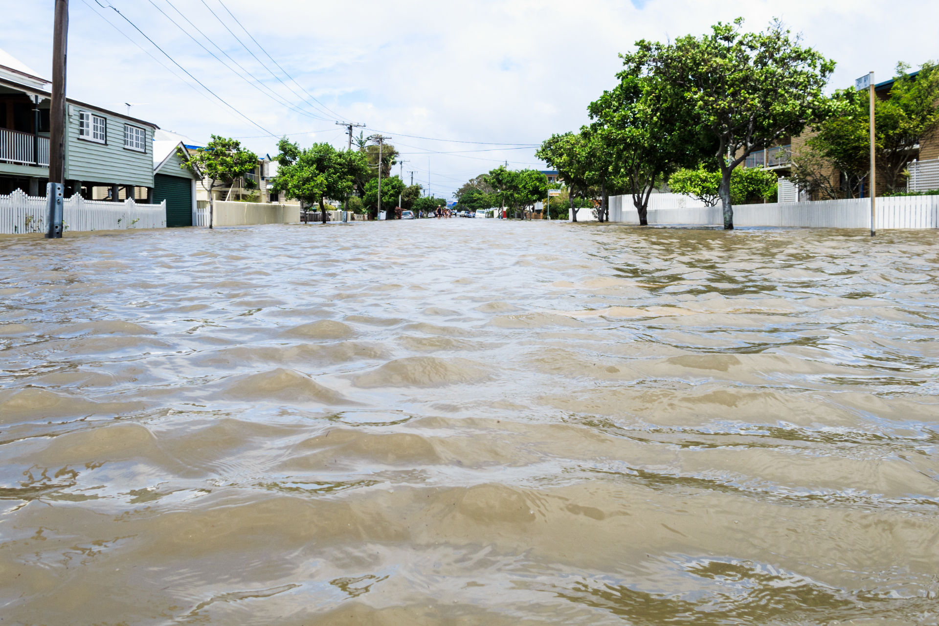 Flood