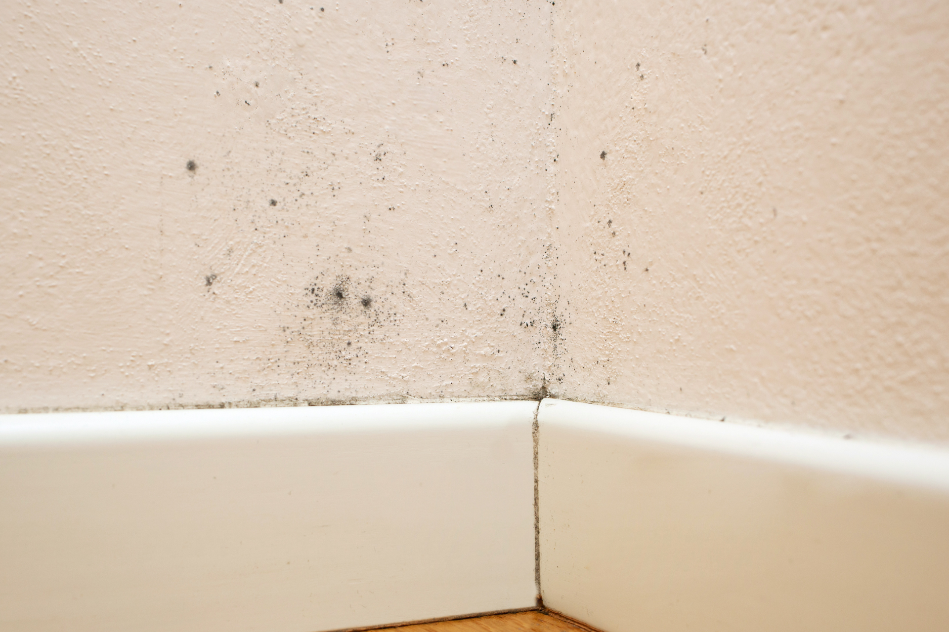 Mold