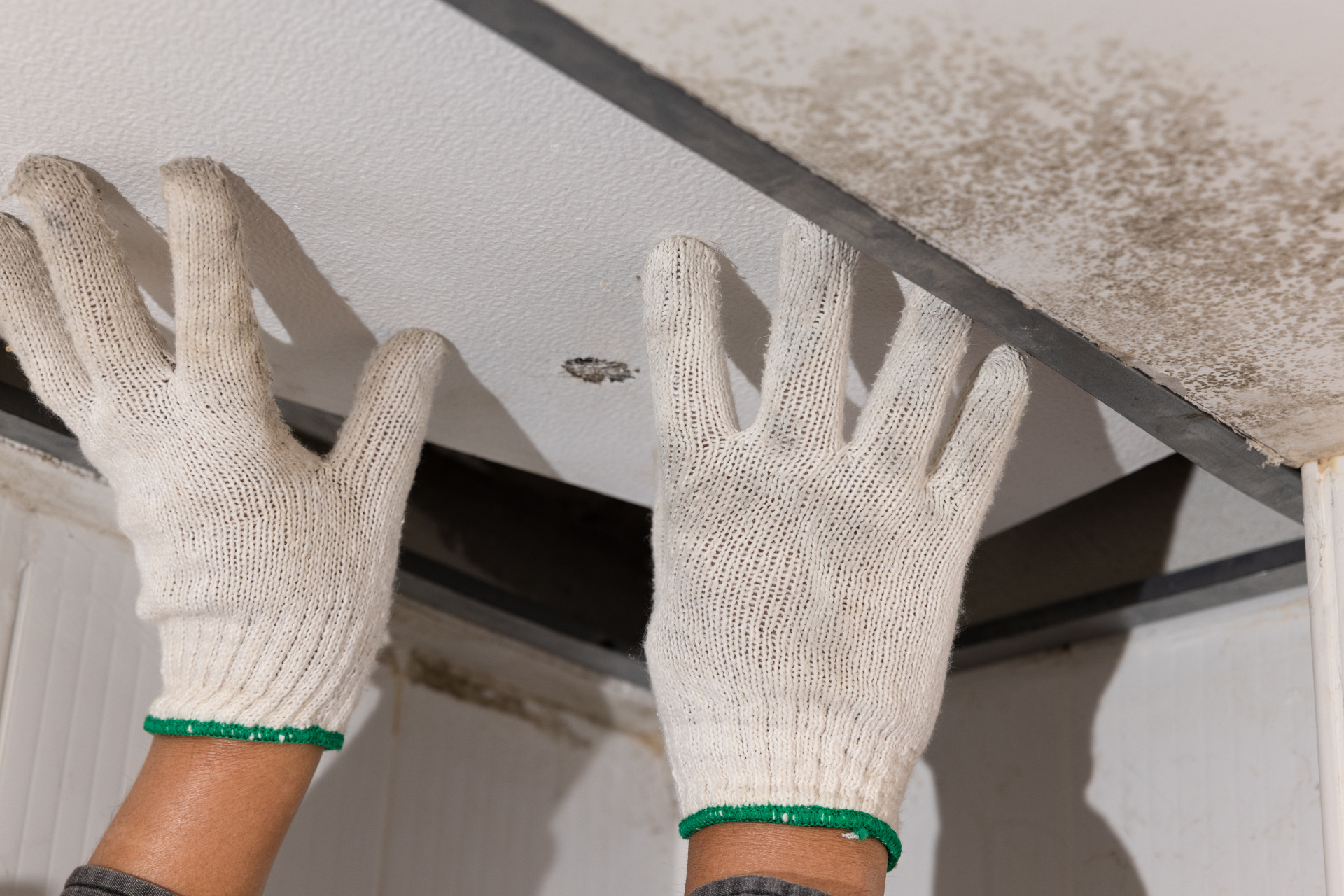 Restoration of Water Leakage in the Ceiling
