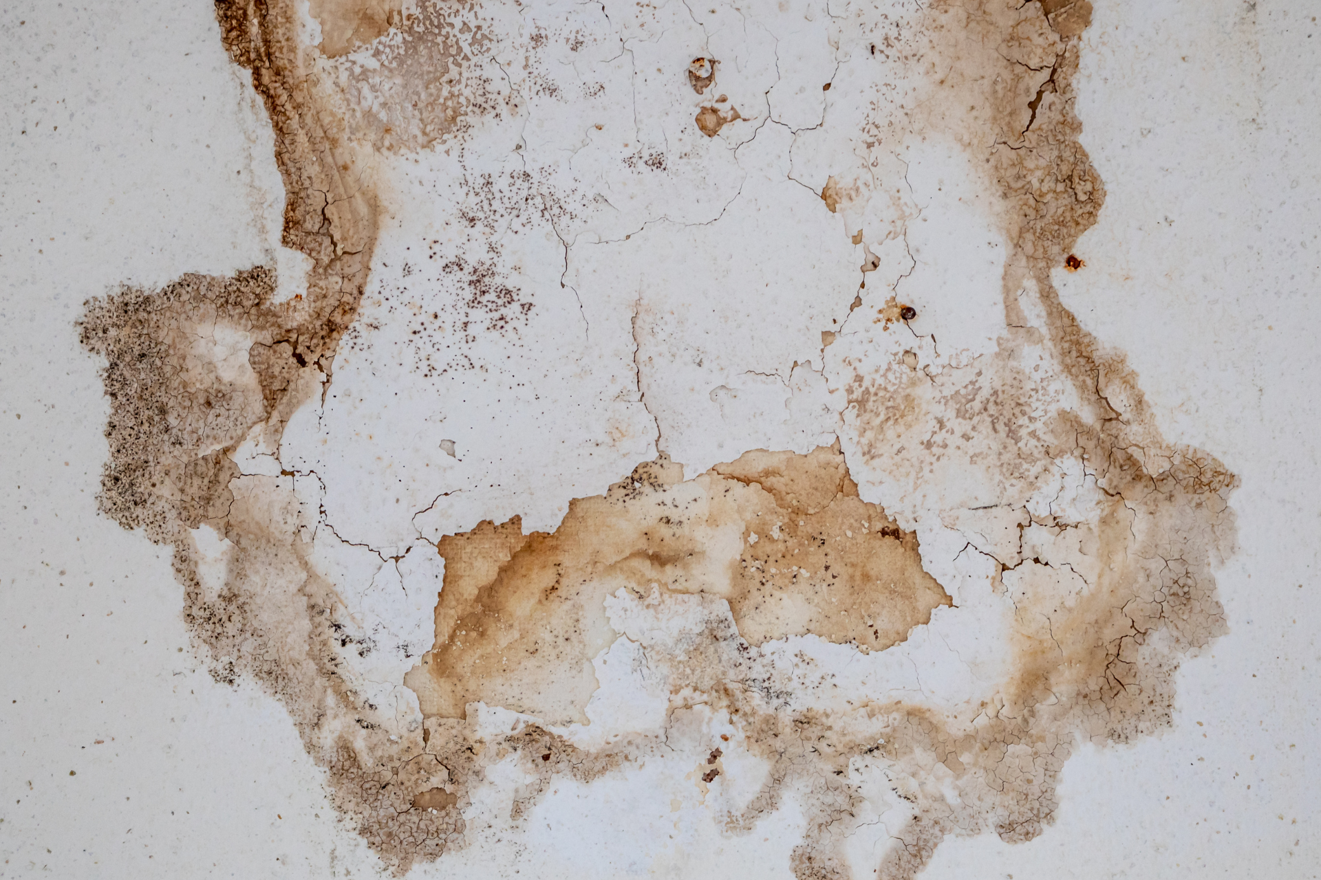 Water Damage With Mold