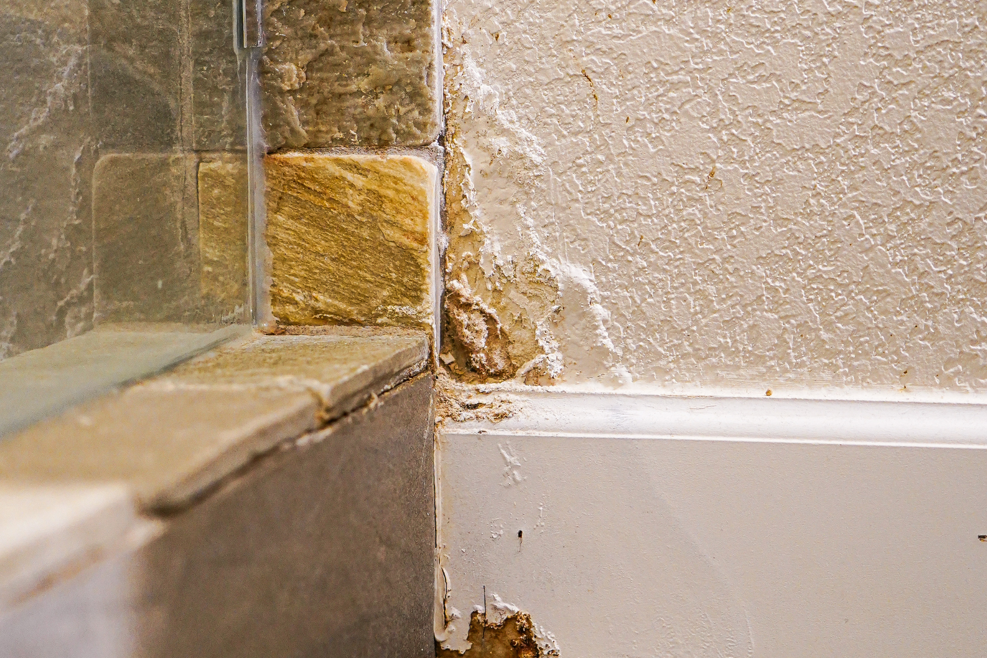 Damaged bathroom wall near shower with peeling paint and water damage.