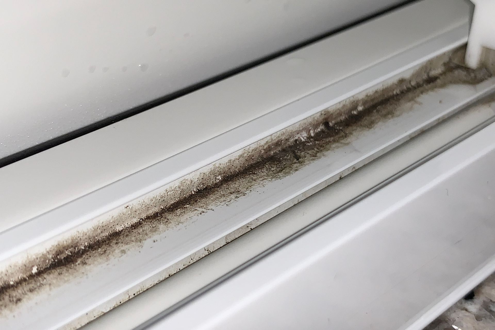 Mold growth along a white window frame, dark brown and black in color.