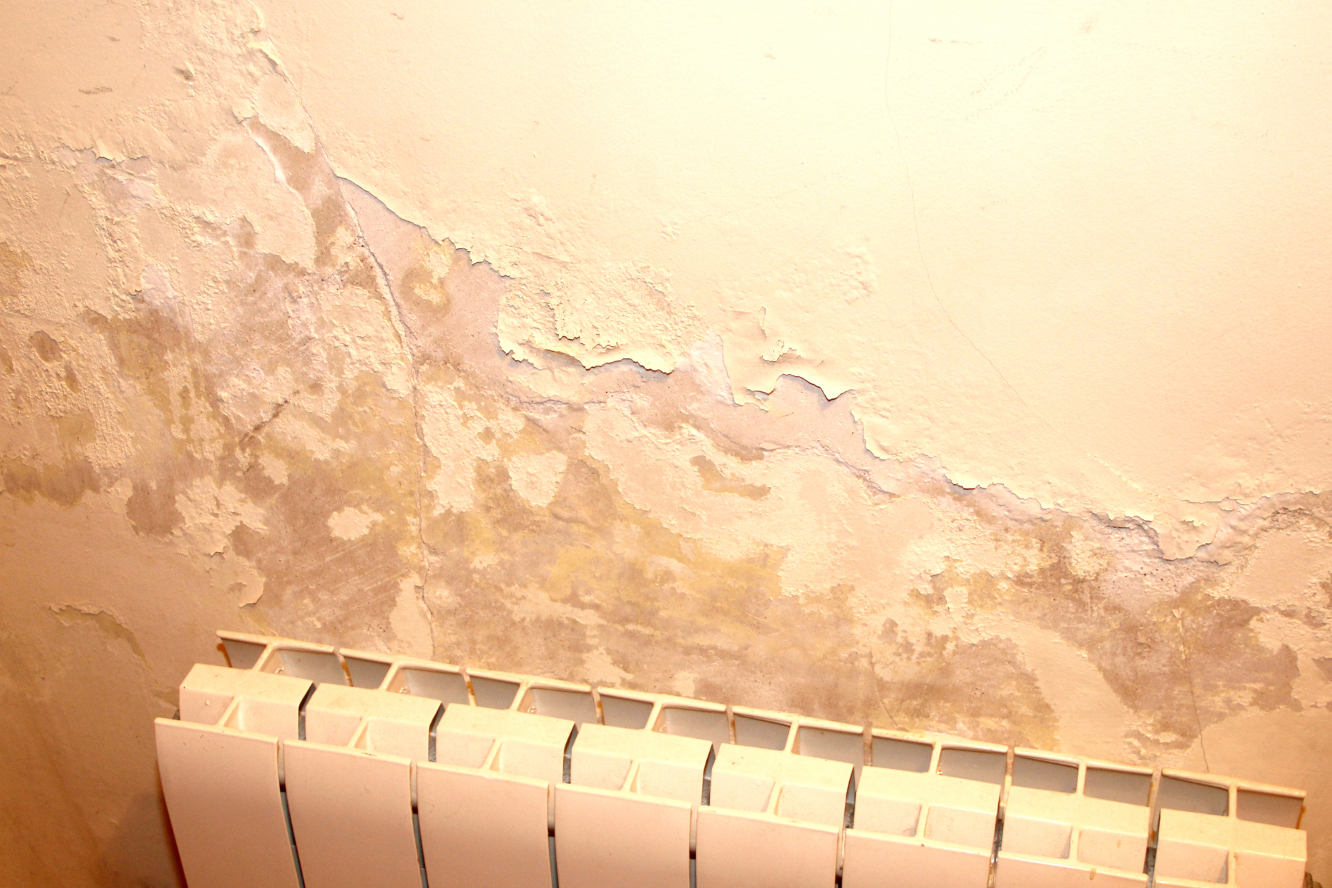 Peeling paint on a wall above a white radiator, suggesting water damage.