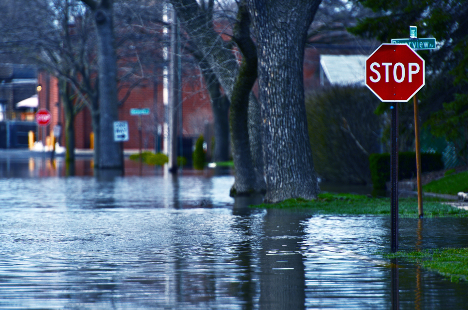 Flooded street with a stop sign in the foreground, water up to the base of trees and buildings.