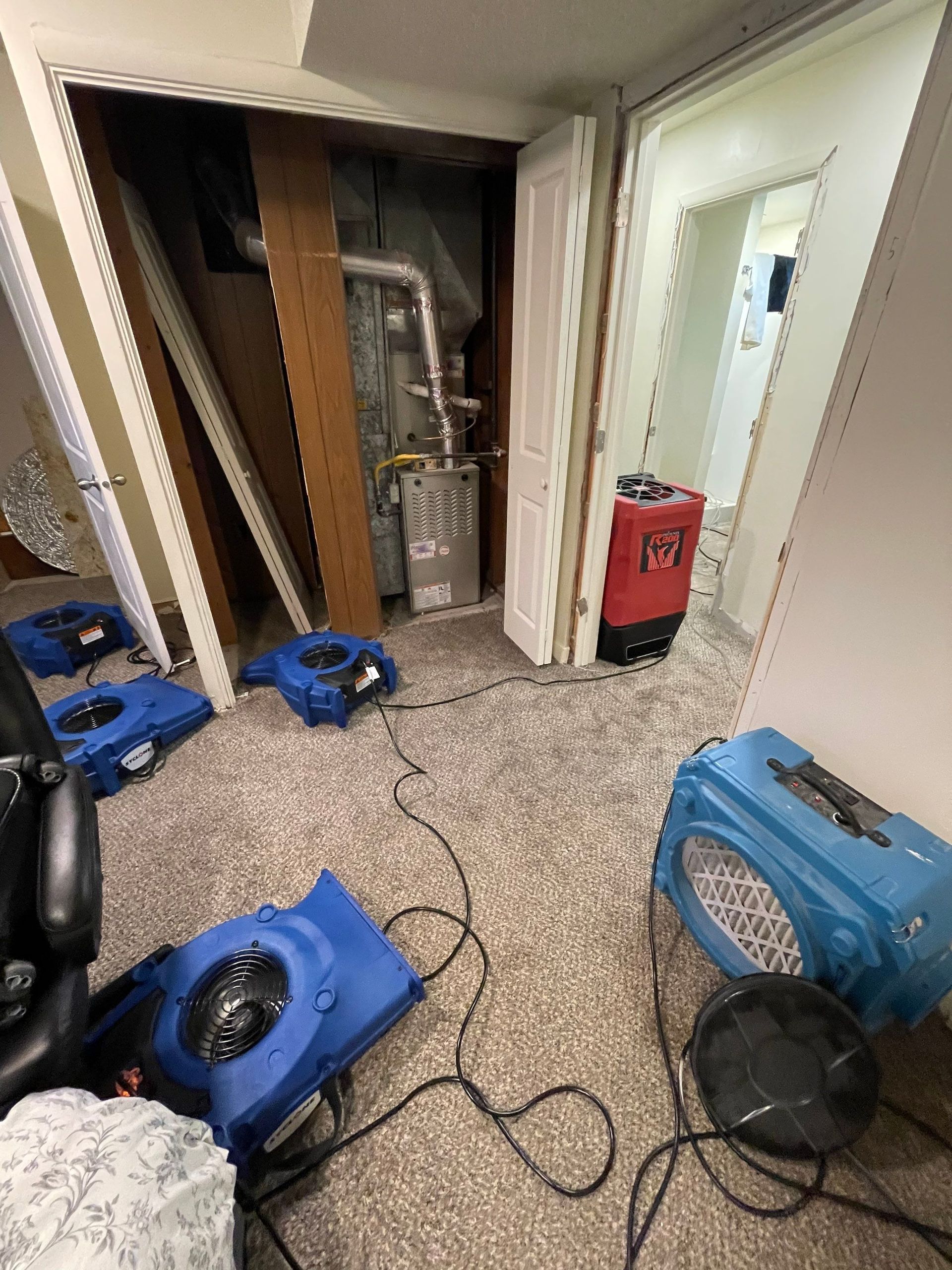 blowers drying carpet