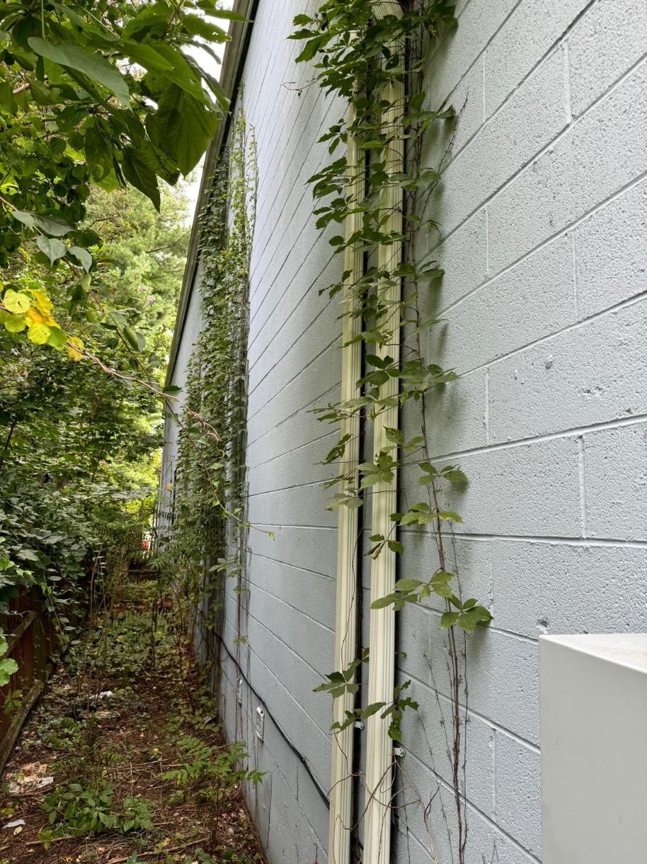 A pipe is growing on the side of a building.