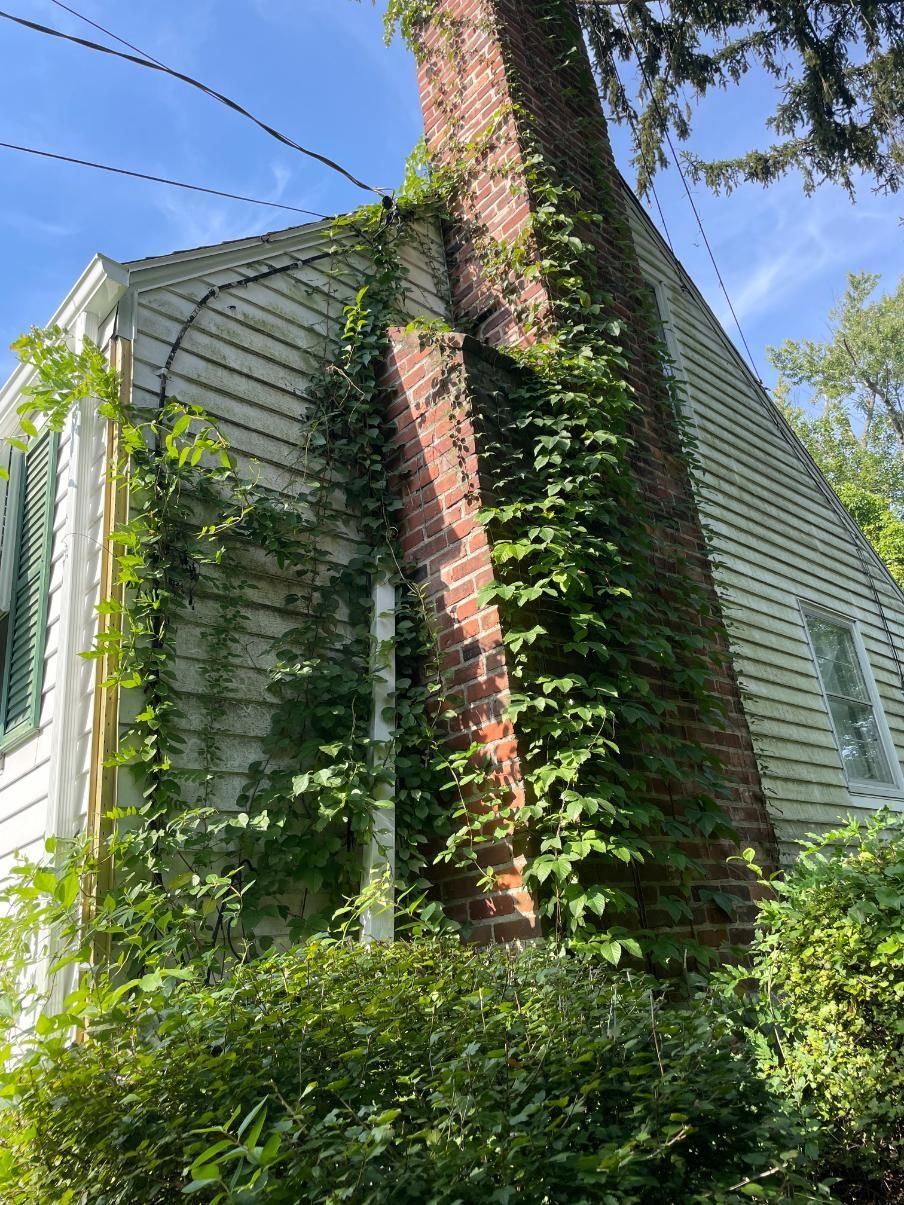 A white house with a brick chimney covered in ivy.