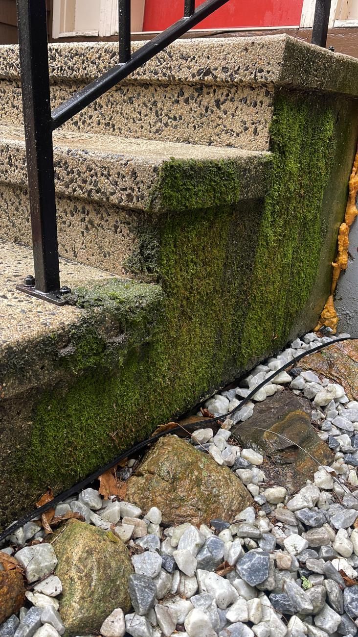 A set of stairs covered in moss and rocks.