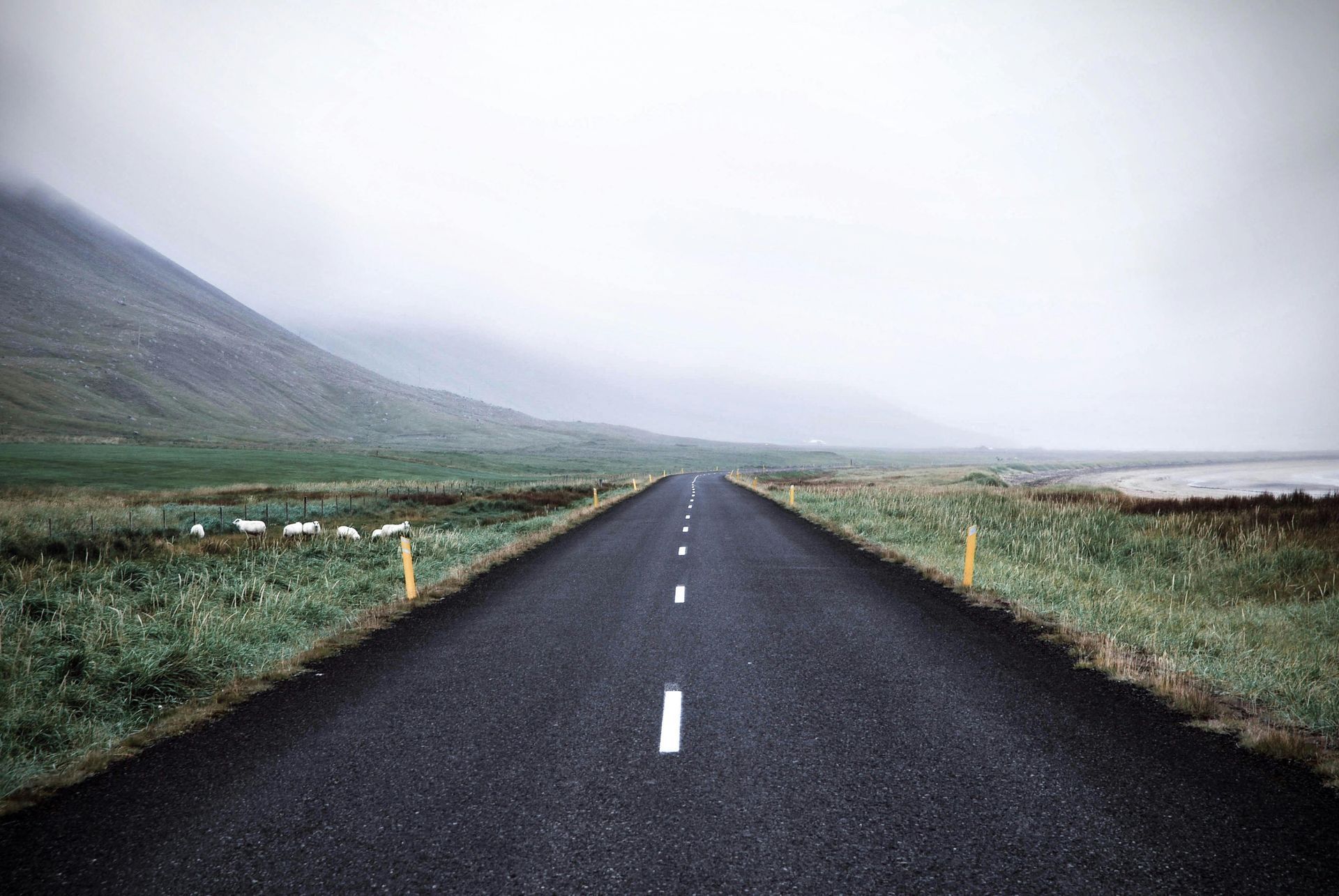 An empty road going through a grassy field with a mountain in the background.