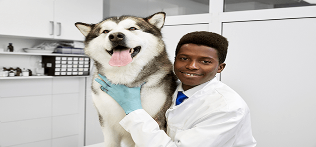 Doctor with Dog at Vet Clinic — Drive, Dallas, TX — Smith Animal Clinic Doctor with Dog at Vet Clinic — Drive, Dallas, TX — Smith Animal Clinic