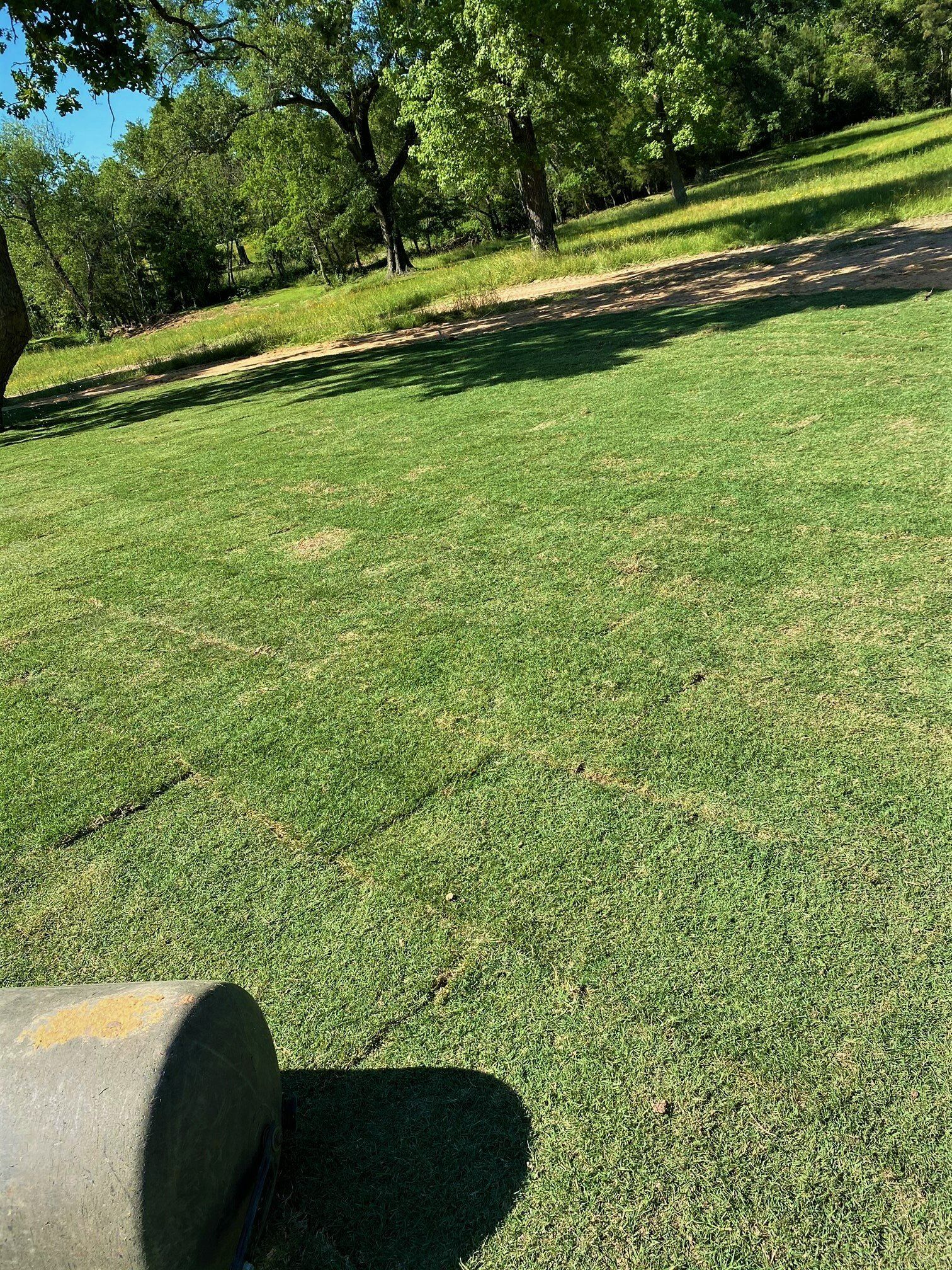 Local Sod Care Tips Houston, TX Grass