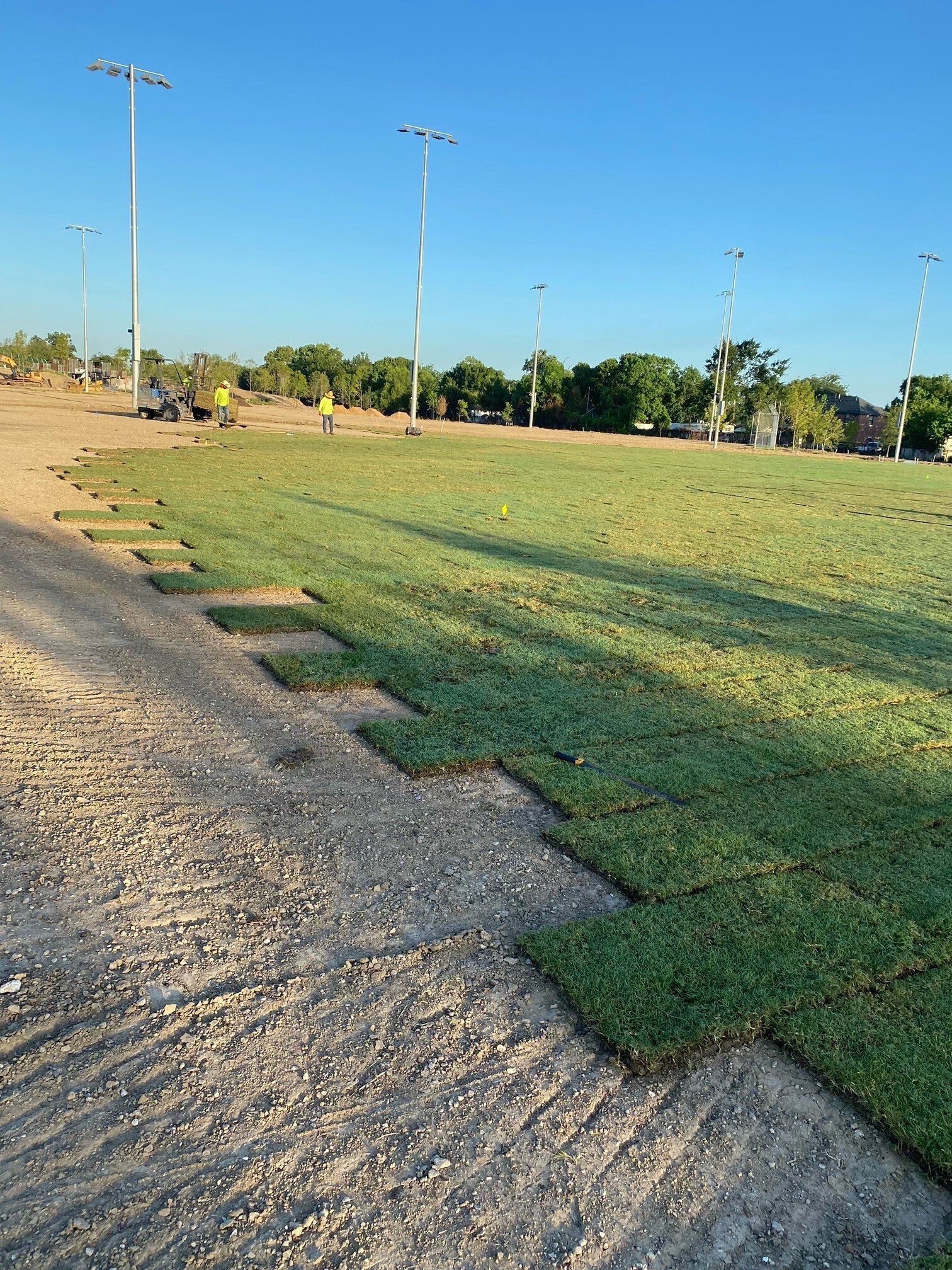 Pile Of Turf Grass — Houston, TX — Cornett Grass Pile Of Turf Grass — Houston, TX — Cornett Grass