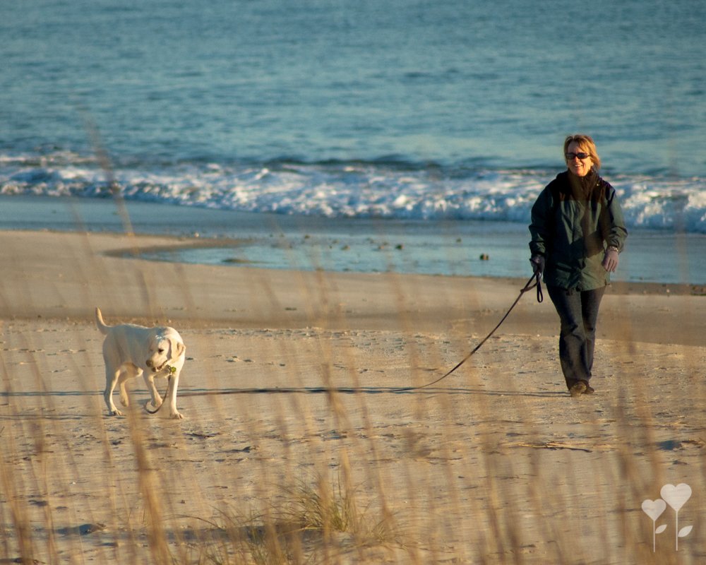 a woman walking a dog on a leash on the beach