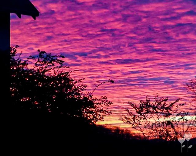 a sunset with purple and pink clouds and trees in the foreground