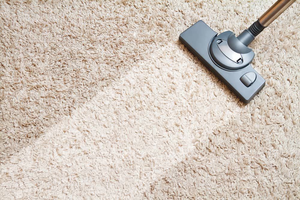 Vacuum cleaner head cleaning beige carpet
