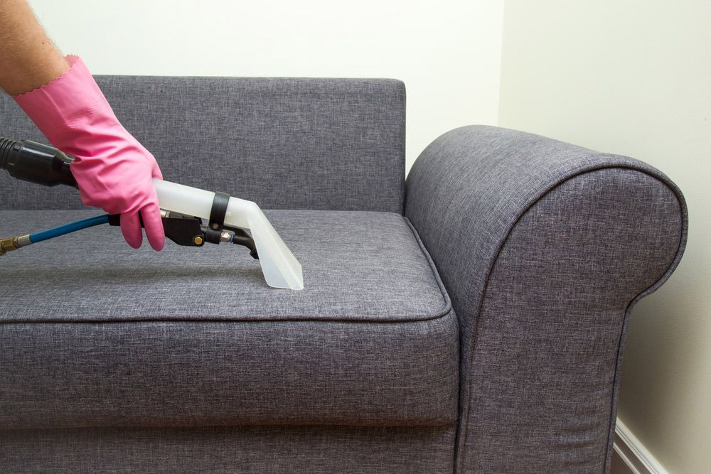An Ongoing Upholstery Cleaning Service In A Canberra Home
